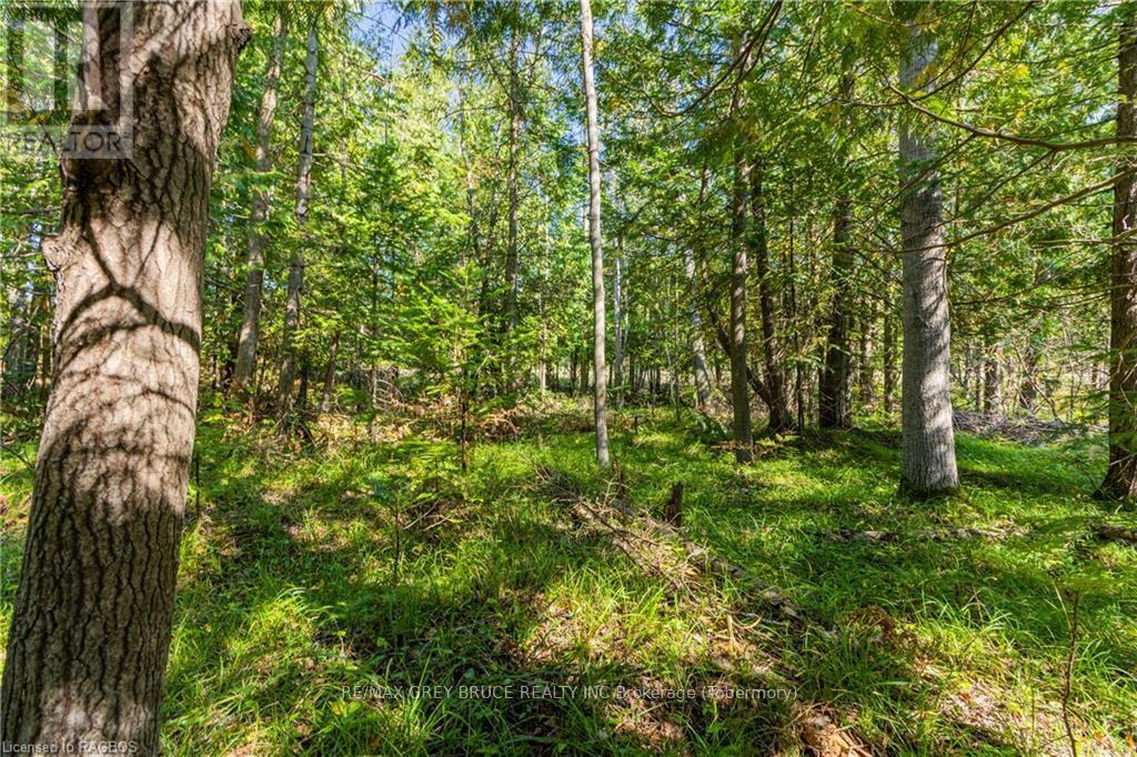 Property Photo:  Lot 36 Sauble Falls Parkway  ON N0H 2T0 