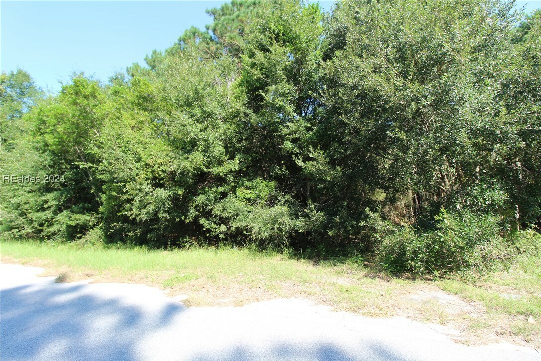 234 Sam Doyle Drive  Saint Helena Island SC 29920 photo