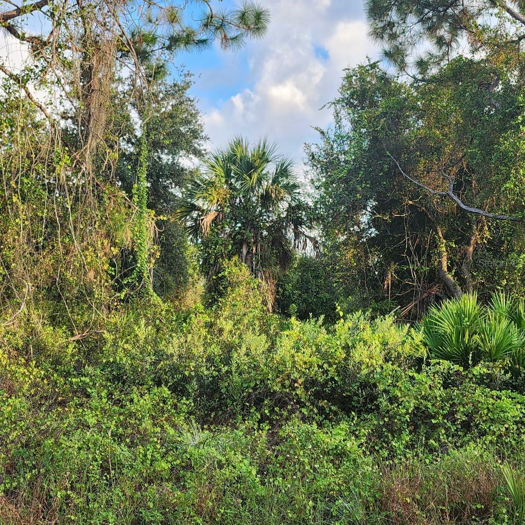 Property Photo:  Lot# 4 Mattox Circle  FL 34288 