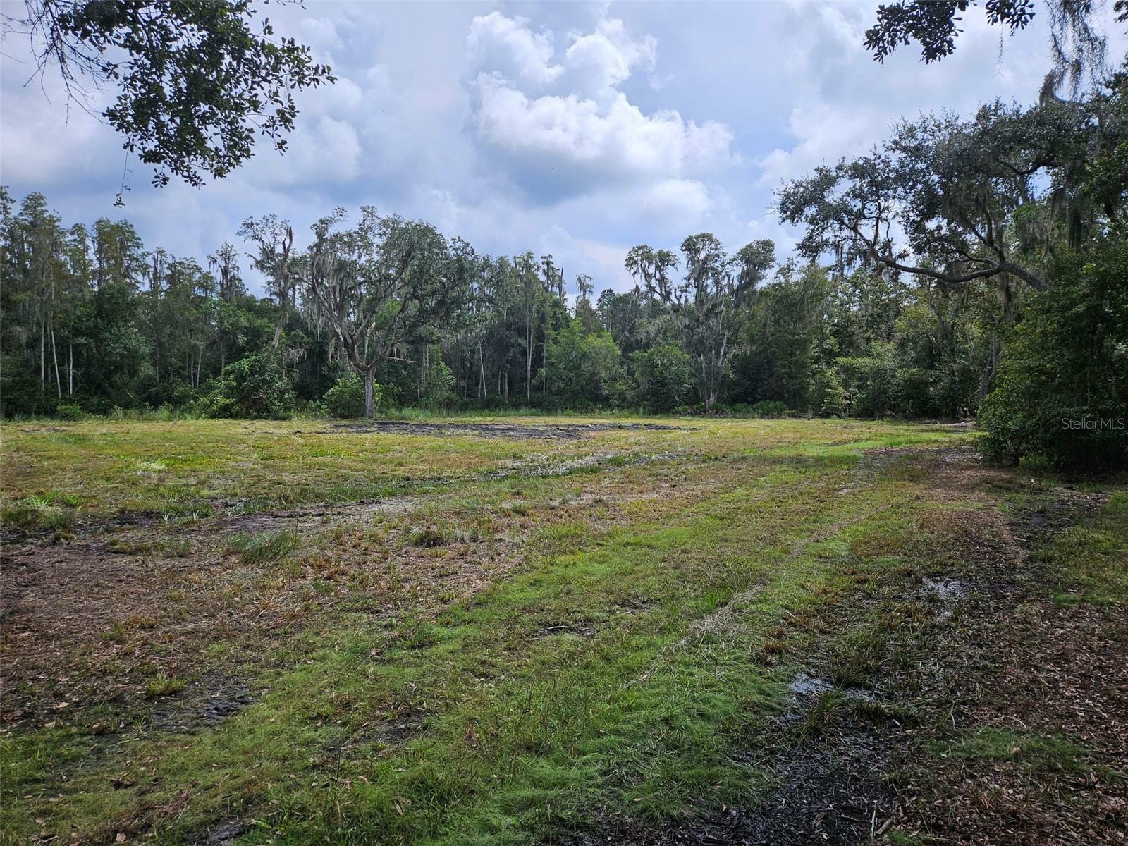 Property Photo:  Candis Rd.  FL 33565 