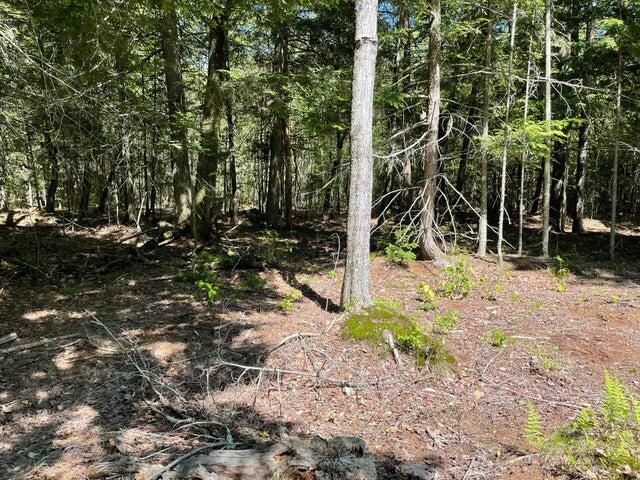 Property Photo:  3/Pt12 Lincolnville Road  ME 04952 