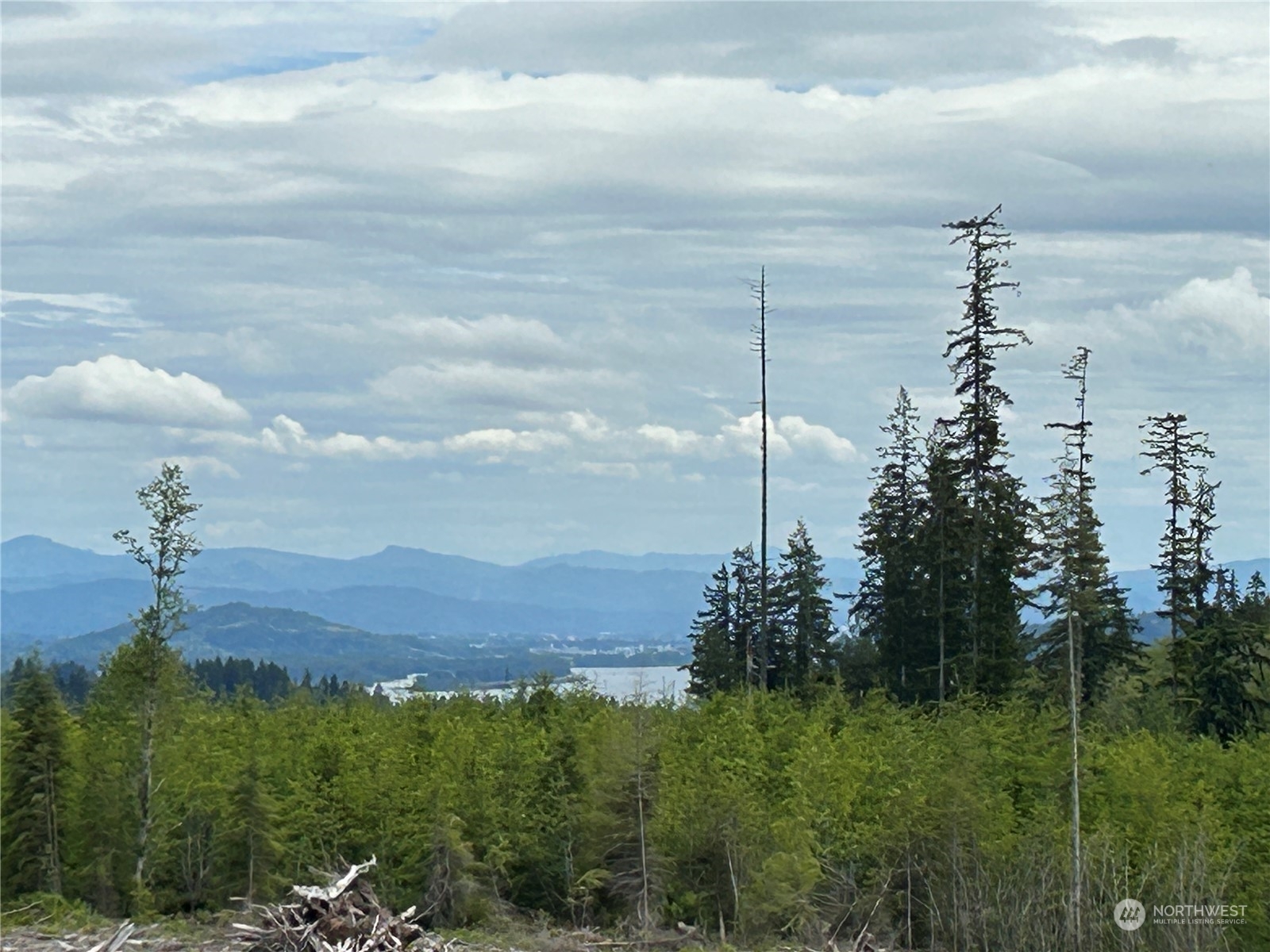 Property Photo:  0 Nka E 2910 Road  WA 98612 