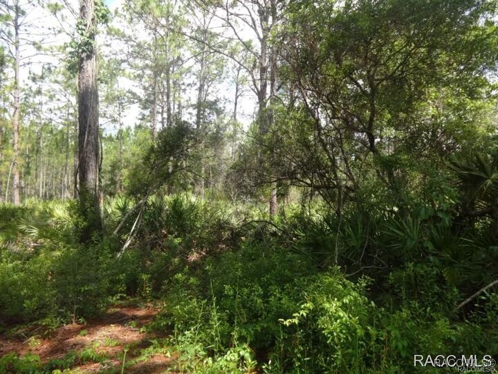 Property Photo: 7970 W Delta Court FL 34428