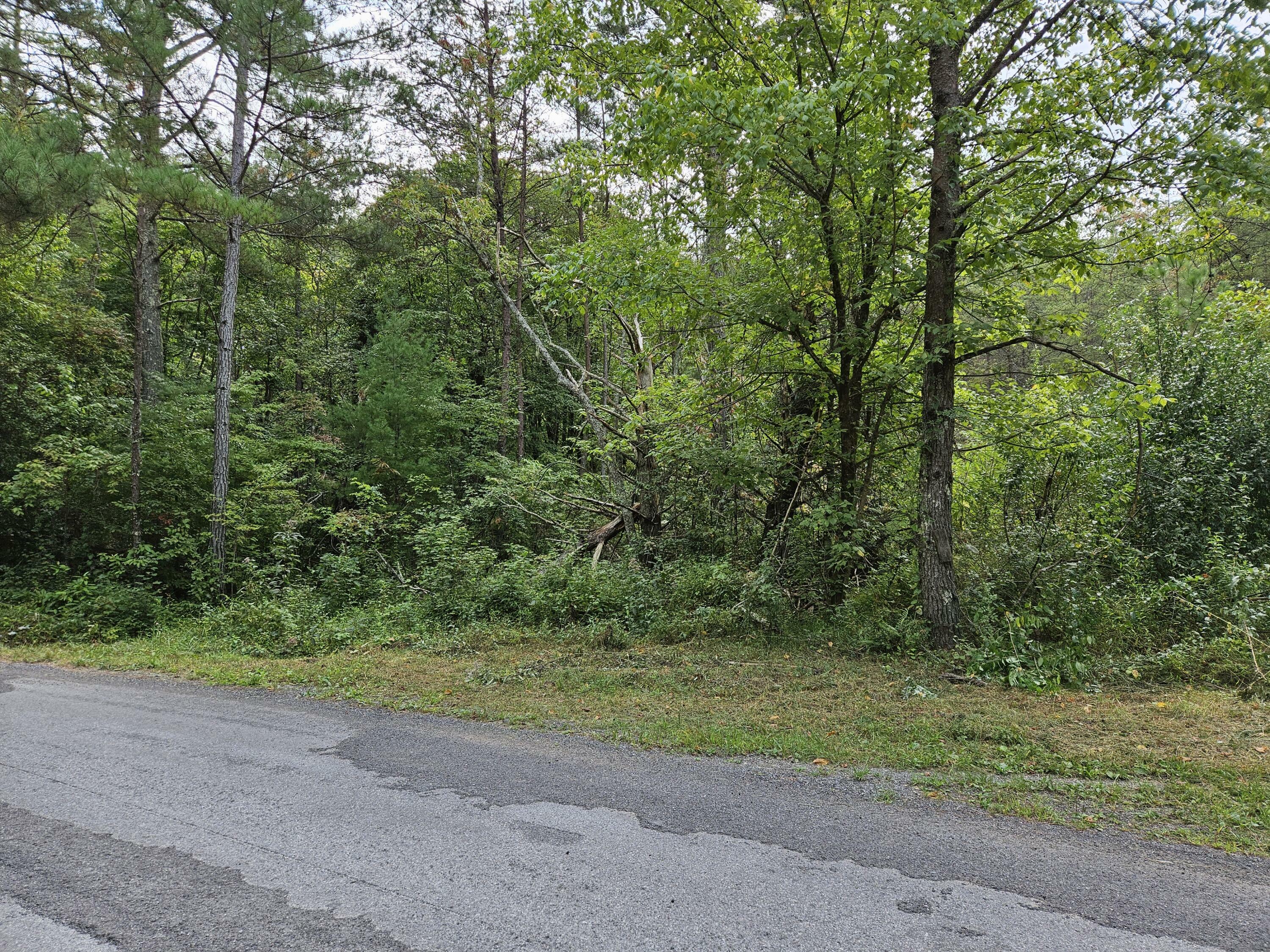 Property Photo:  00 Belaire Drive  TN 37317 