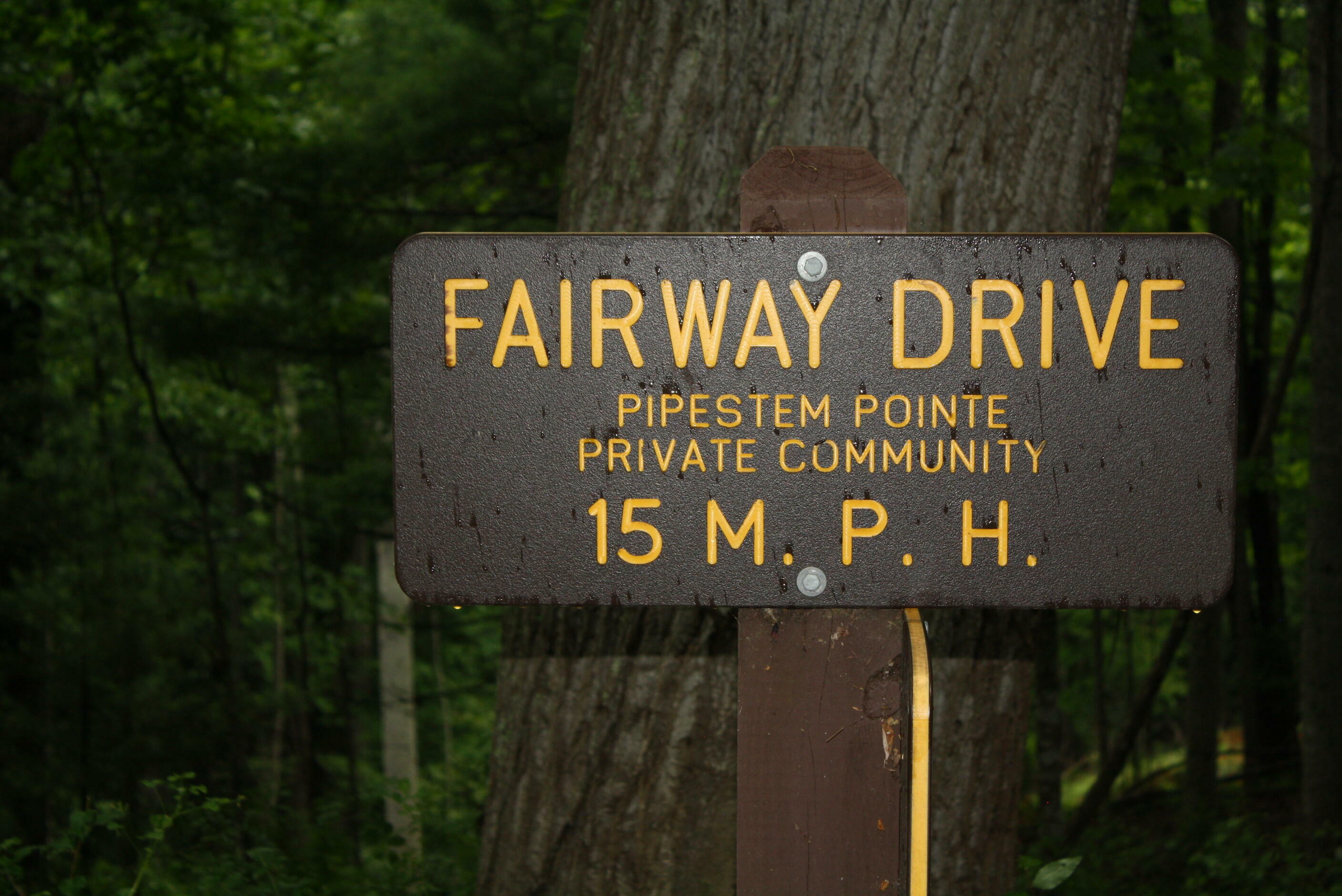 Property Photo:  Lot 13 Fairway Drive Pipestem Pointe  WV 25979 