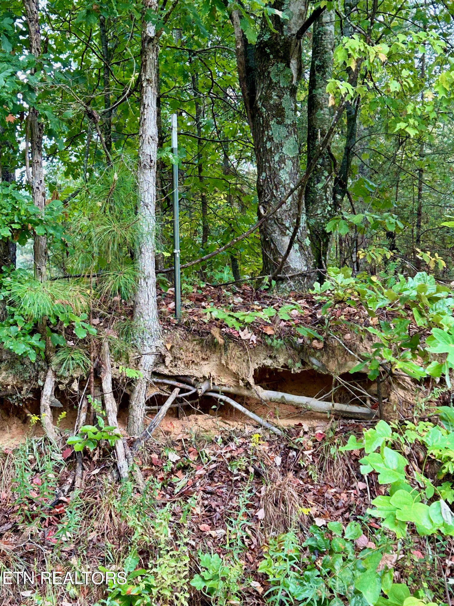 00 County Road 609  Etowah TN 37331 photo