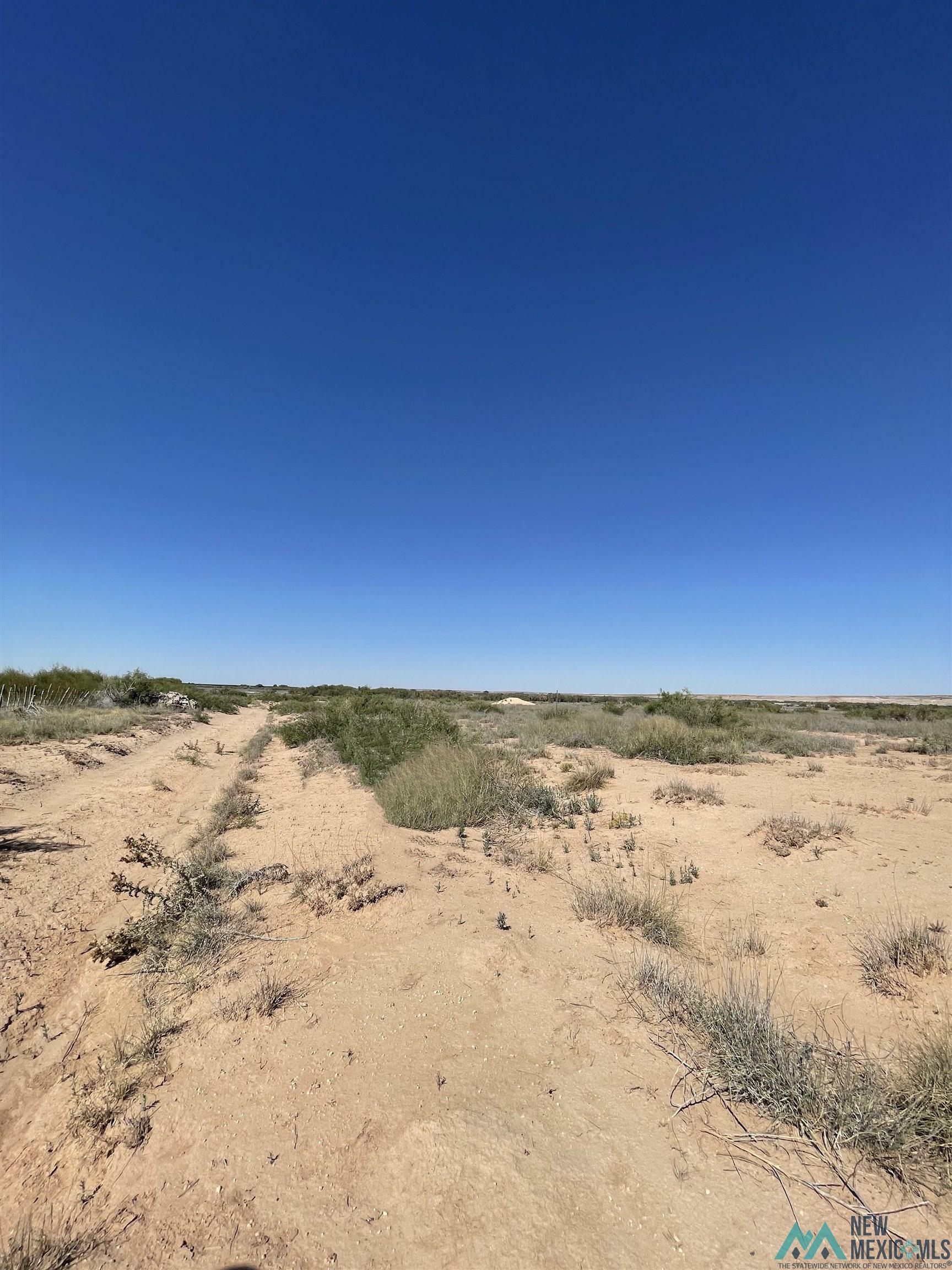 Property Photo: NE Of 106 Aaron Road NM 88210