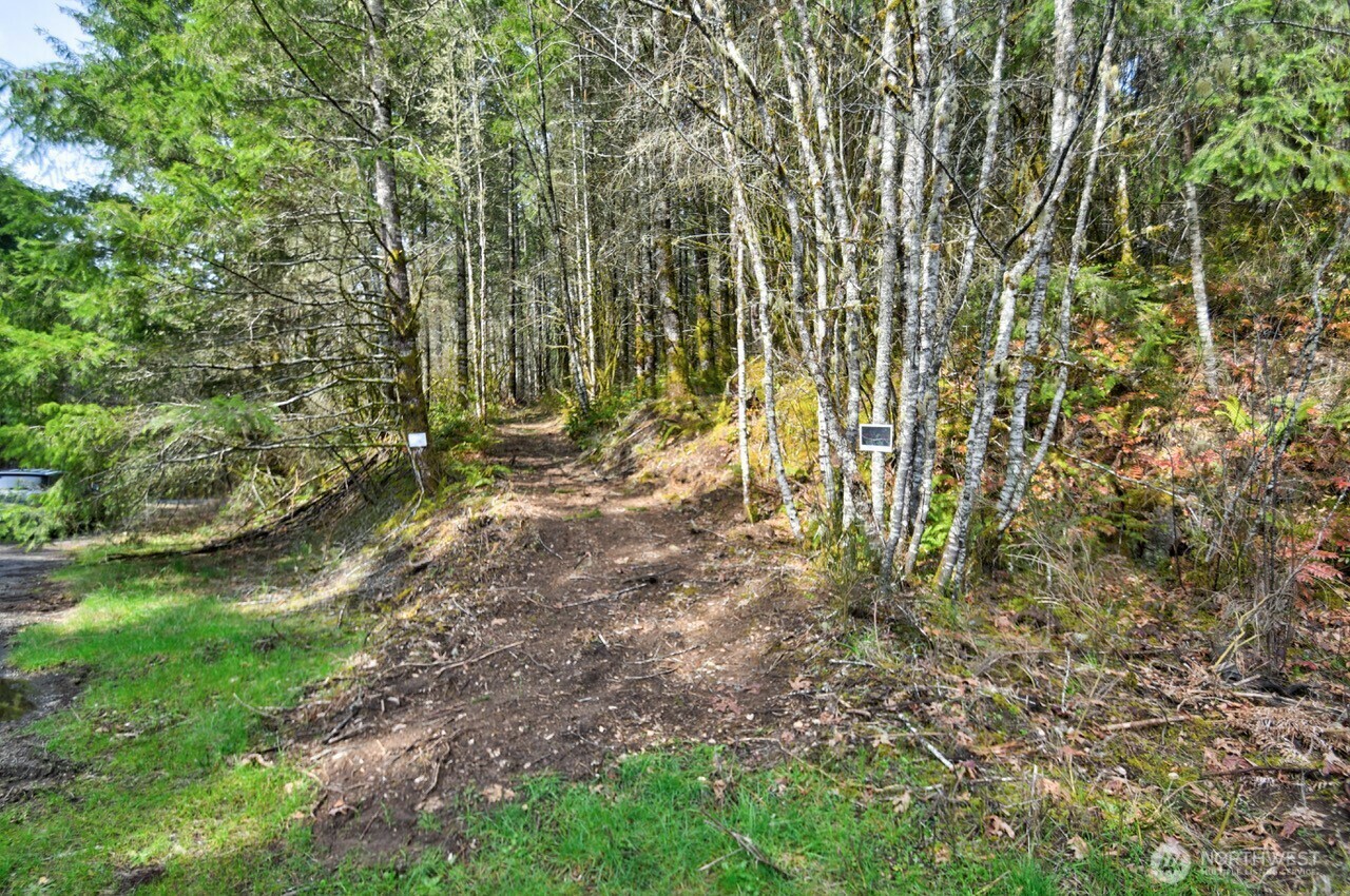 Property Photo: 0 Lincoln Creek Road WA 98579
