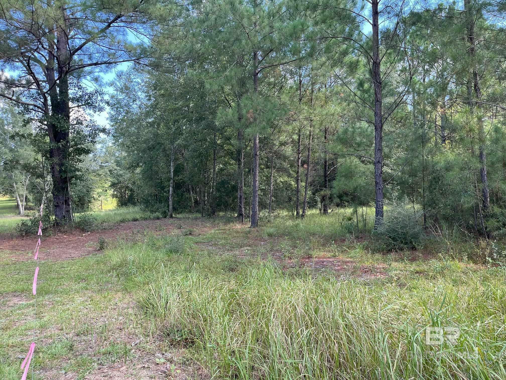 Property Photo:  0 County Road 68 N  AL 36567 