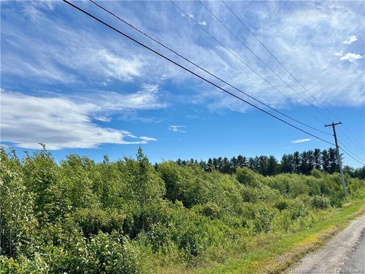 Property Photo:  4.62 Acres Stymiest Road  NB E9G 3C4 