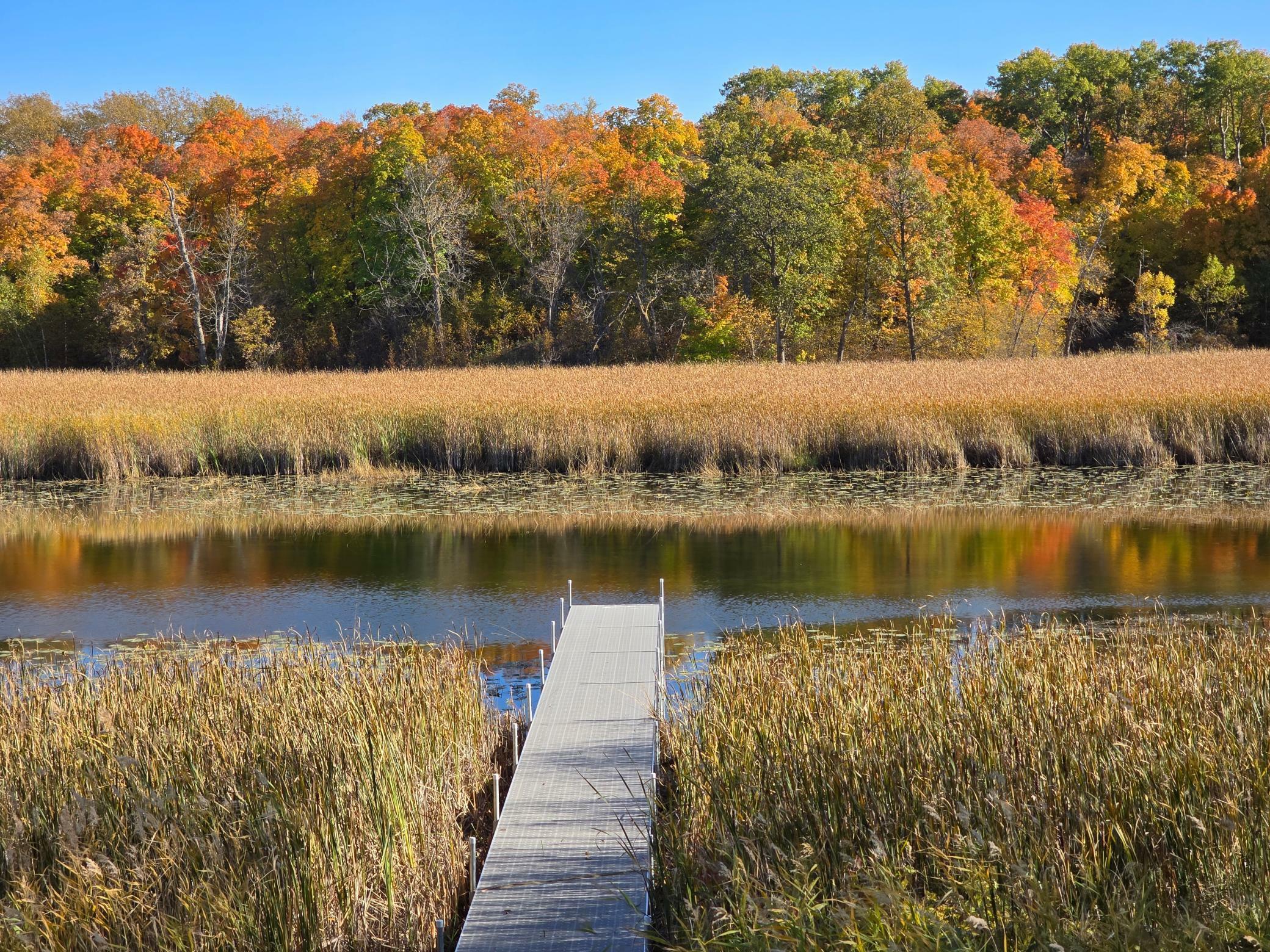 Property Photo:  Tract G Blybergs Lane  MN 56572 