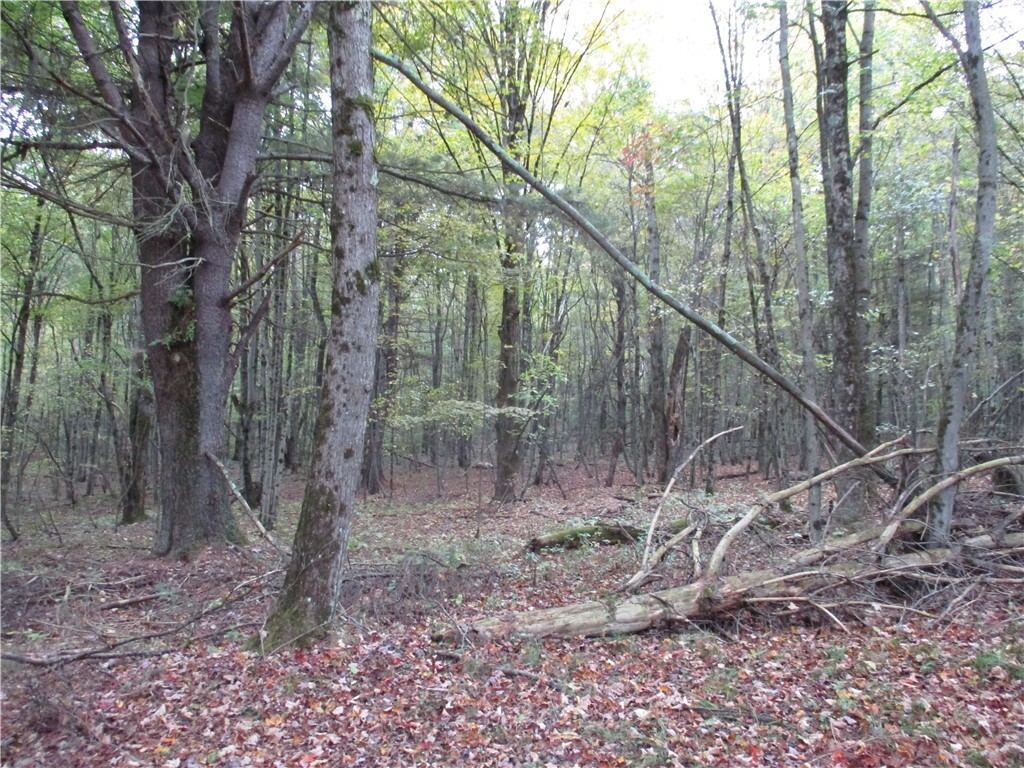 Property Photo: 59 Echo Lake Road NY 13778