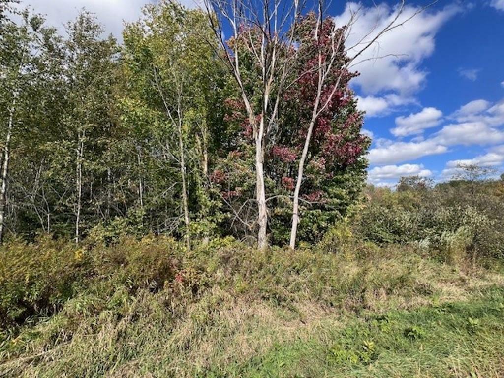 Property Photo:  28.84 Acres County Road P  WI 54448 