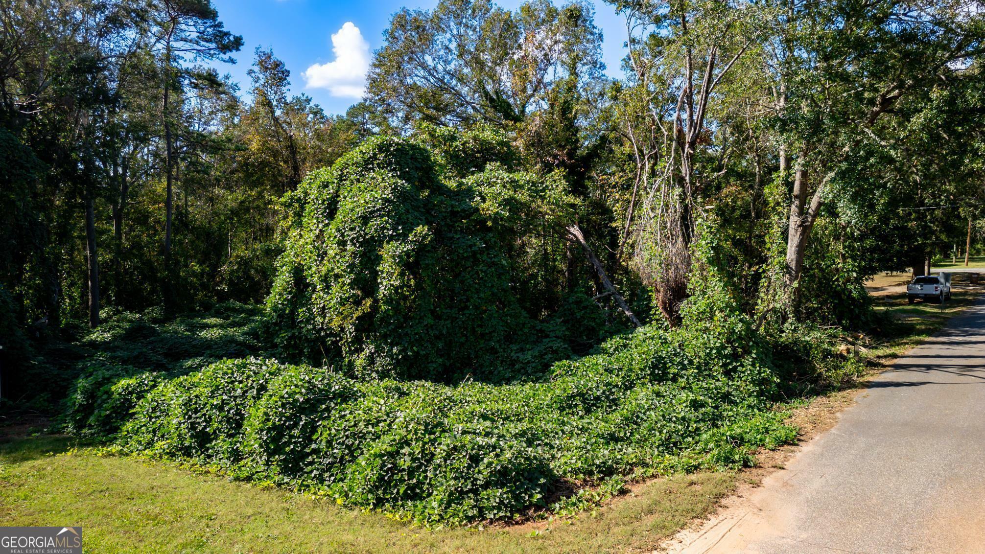 Property Photo:  141 Woodfern Circle  SC 29627 