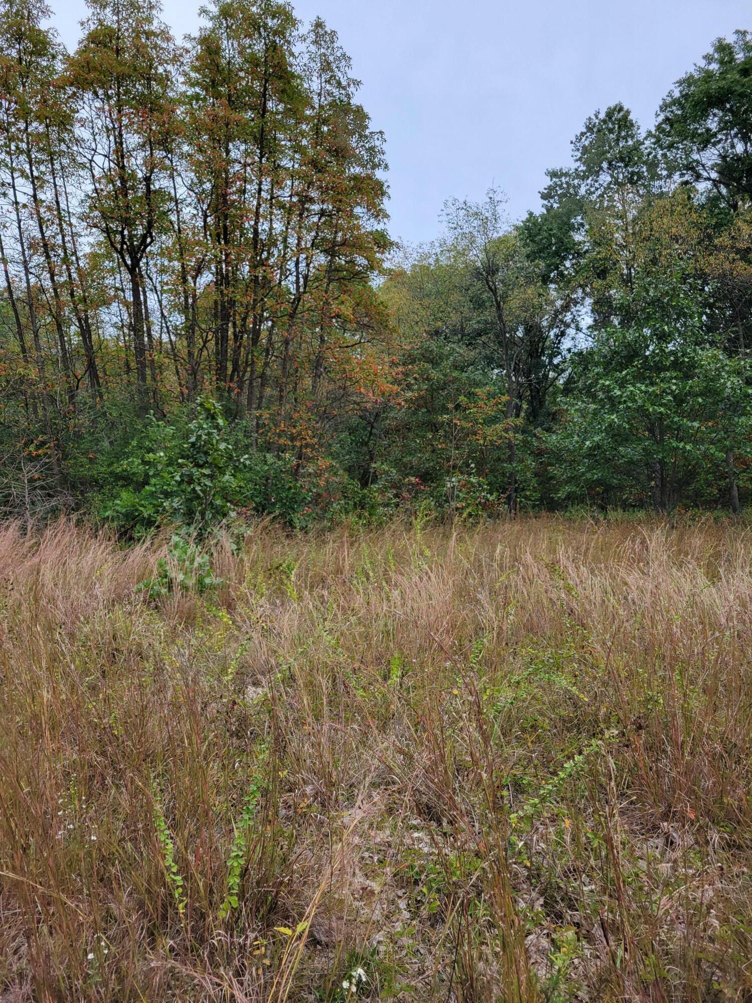 Property Photo:  Lot 2 N 100  IN 46349 