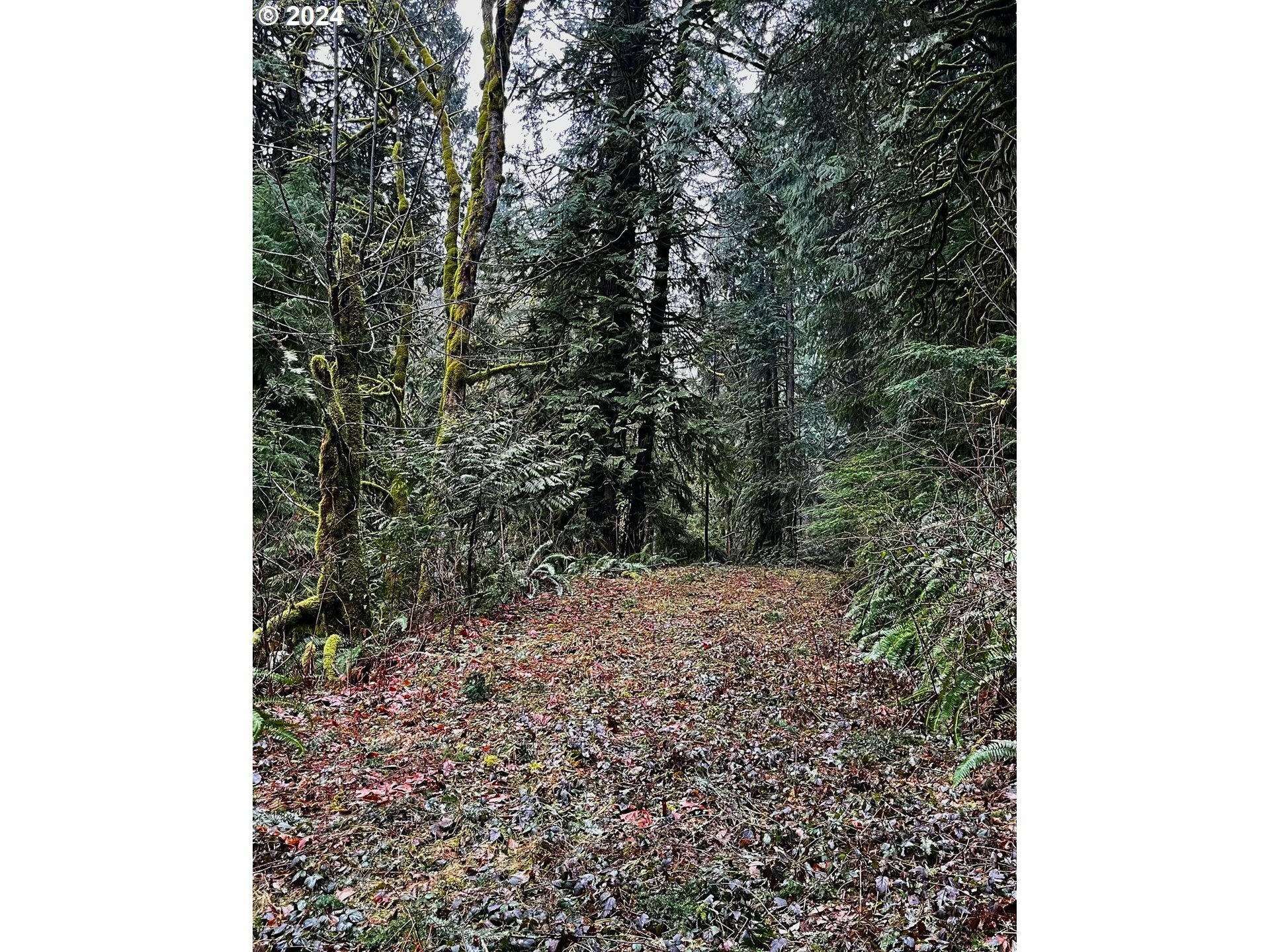 0 Wildlife Dr  Washougal WA 98671 photo
