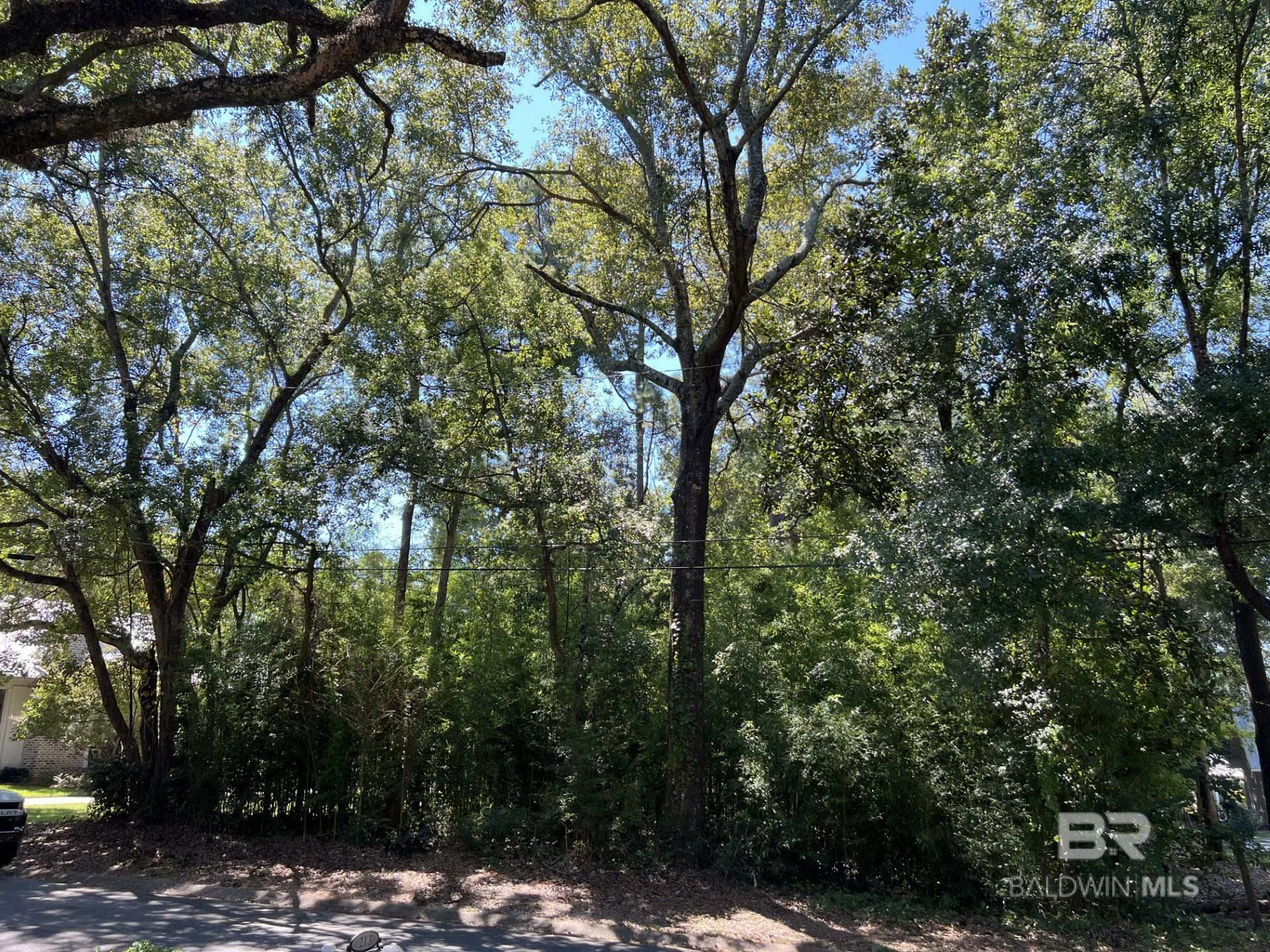 Property Photo:  0 Pier Avenue  AL 36532 