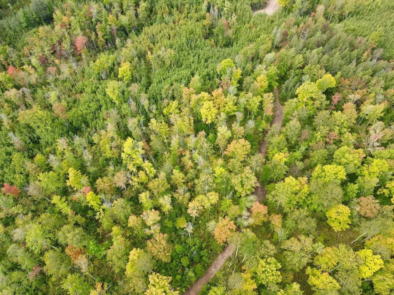 Property Photo:  Lot 3 Grundy Road  WI 54487 
