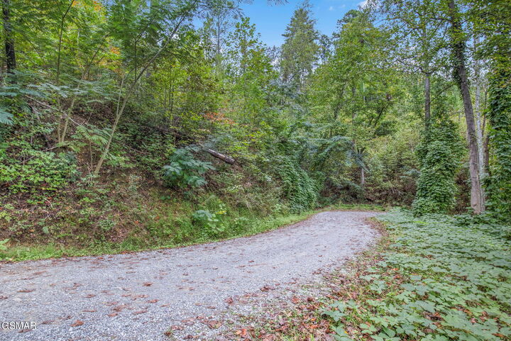 Property Photo: Mt. Garrison Way TN 37738