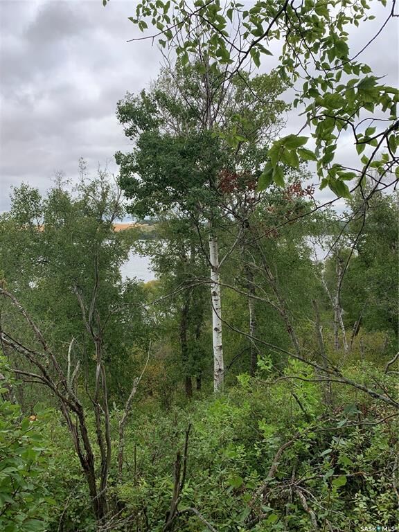 Property Photo:  10 Wakonda Ridge  SK S0K 4P0 