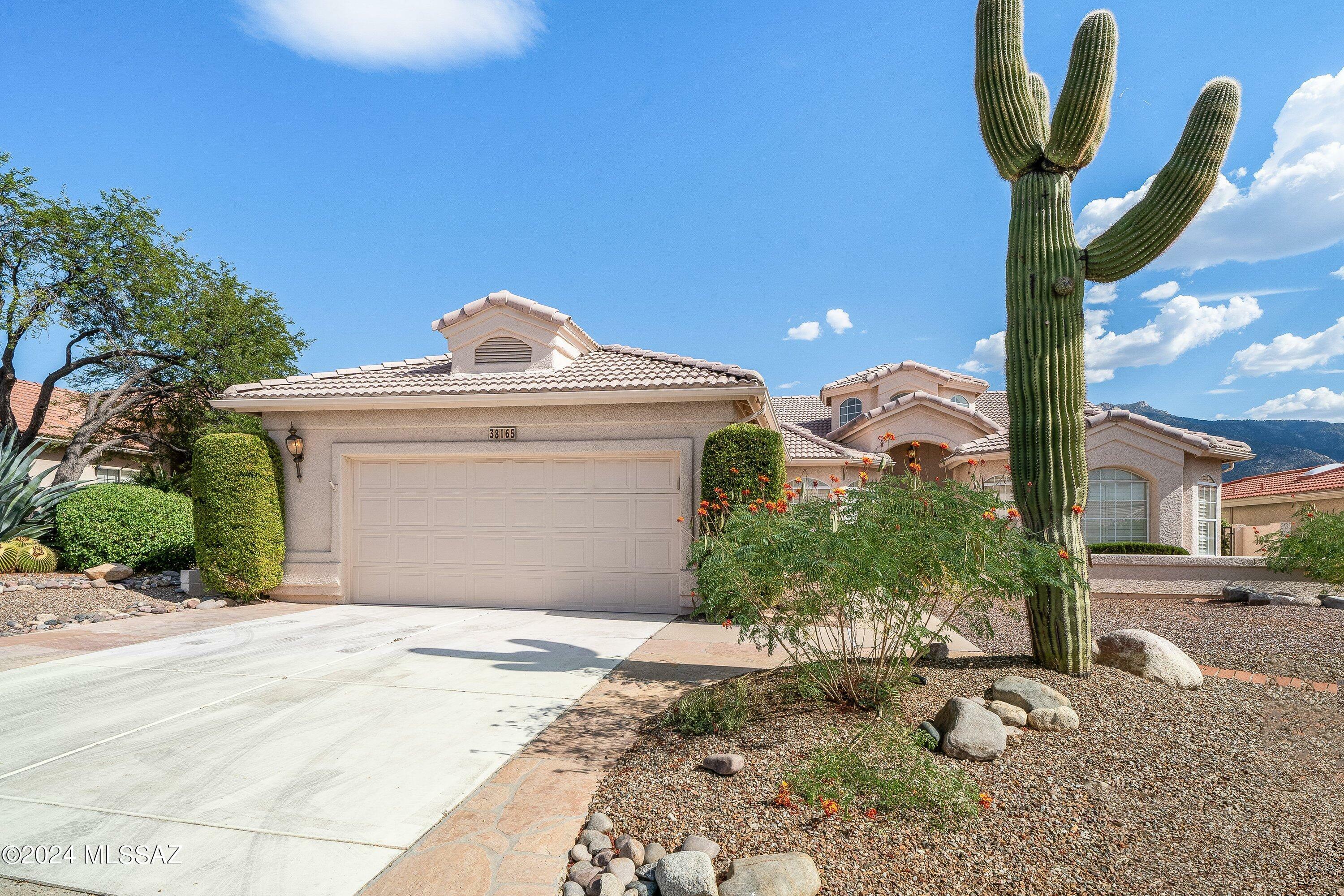 Property Photo:  38165 S Mountain Site Drive  AZ 85739 