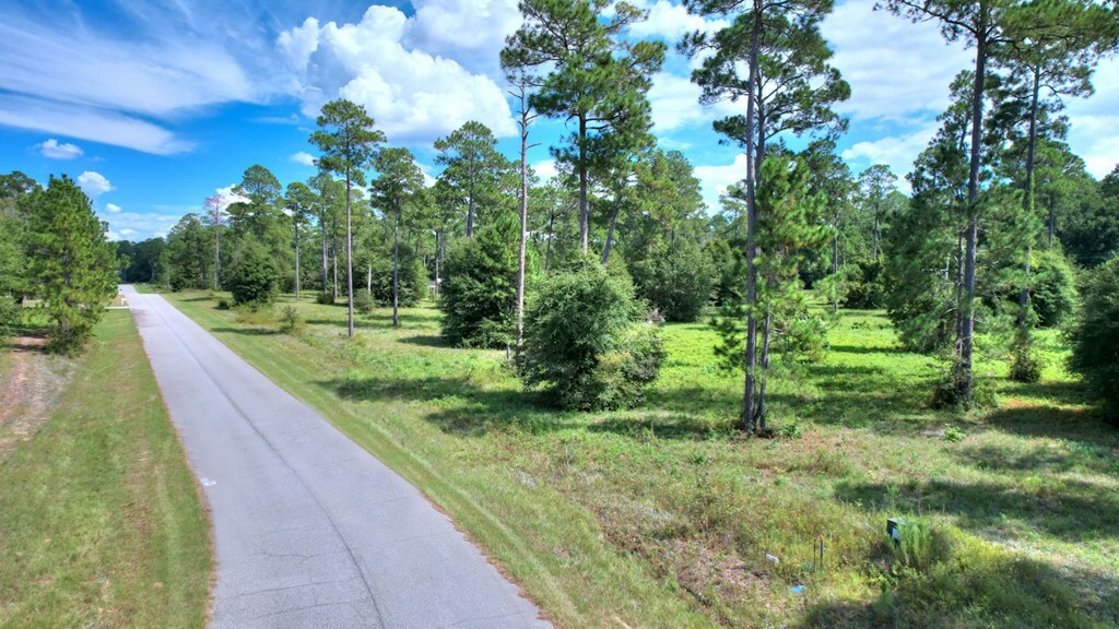 Property Photo:  Lot 12 Blk B - Swann Dr  GA 31015 