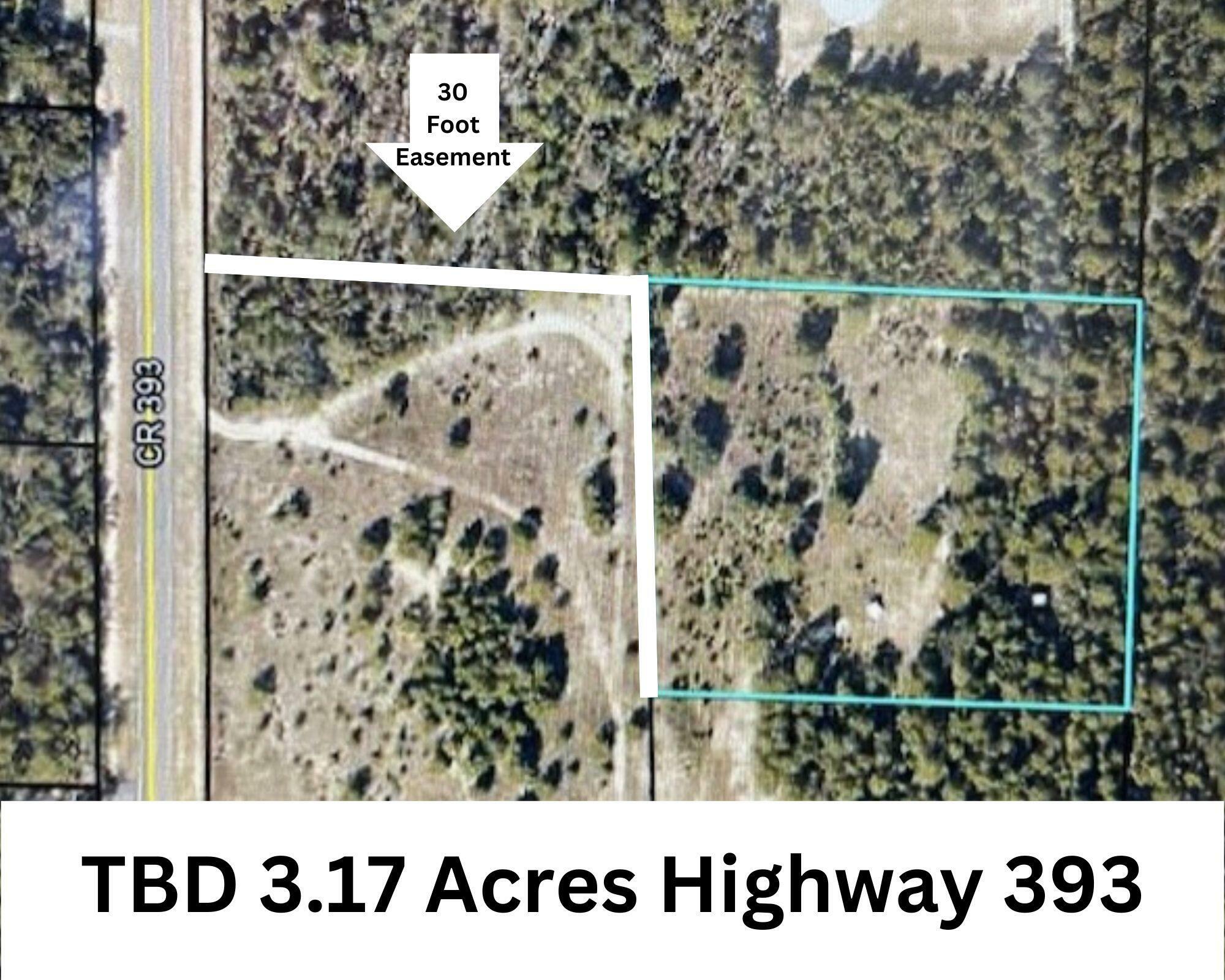 Property Photo:  Tbd 3.17 Ac Highway 393 Highway  FL 32539 