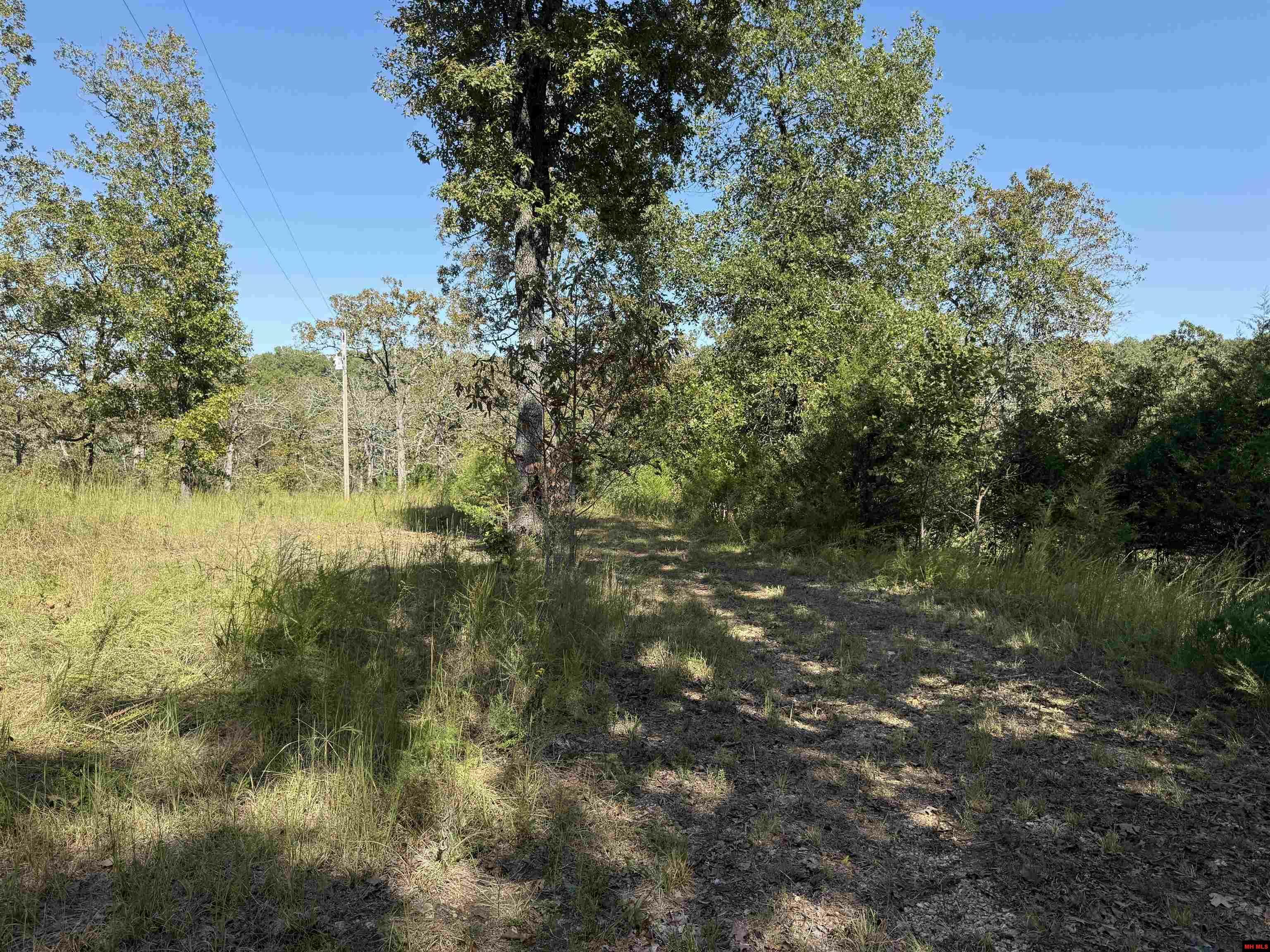 Property Photo:  232 New Hope Lane  AR 72653 