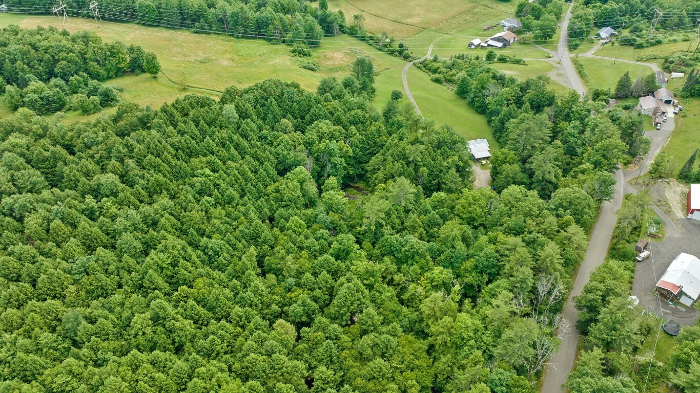 Property Photo:  2170 Bradley Creek Road  NY 13790 