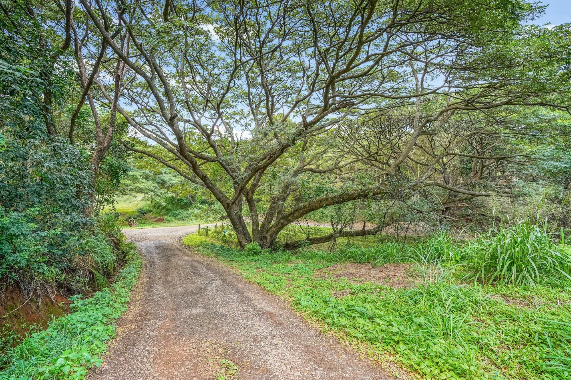 Property Photo:  5409 Laipo Rd 2  HI 96746 