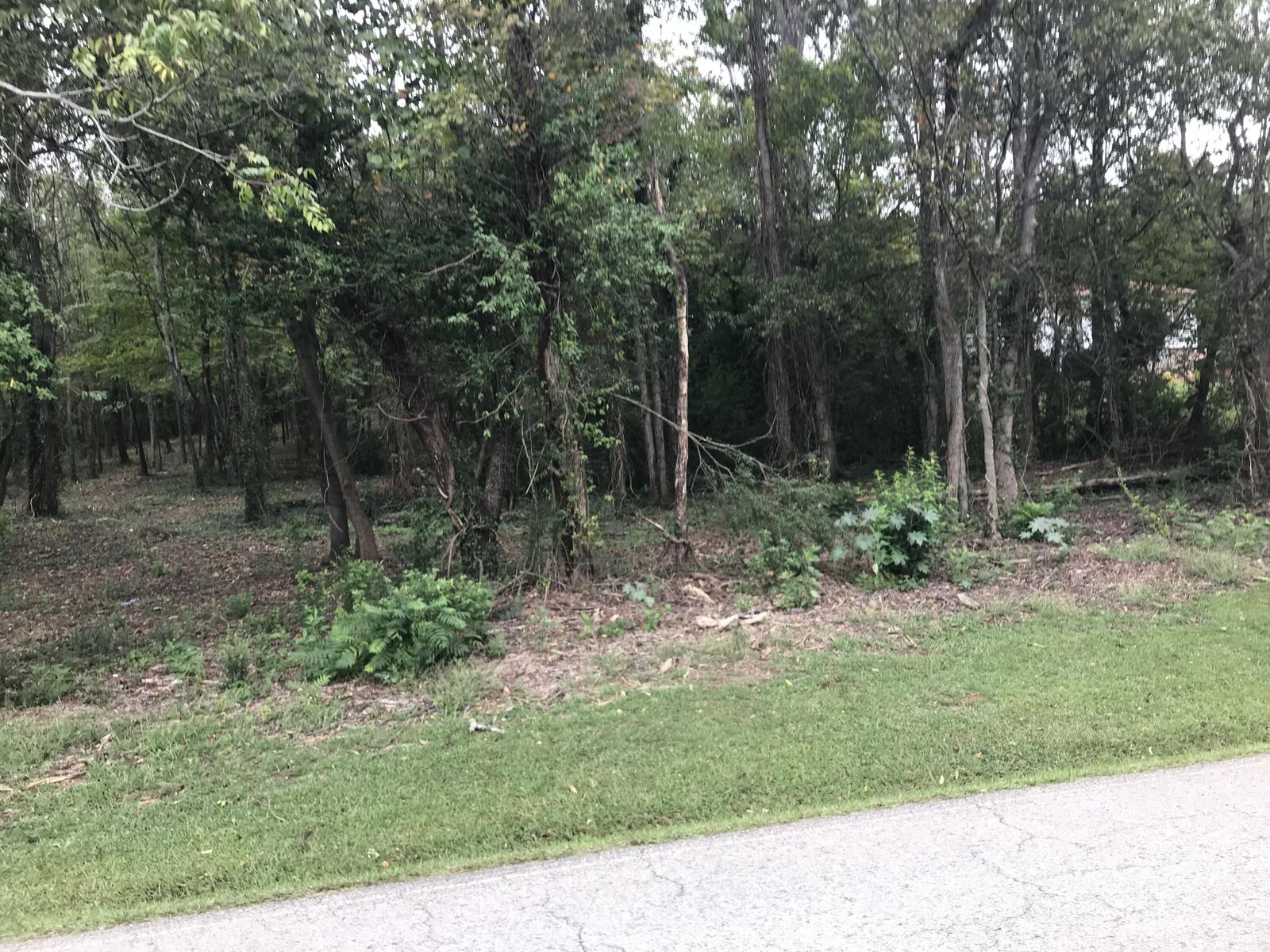 Property Photo:  1689 Carroll Road  TN 37813 