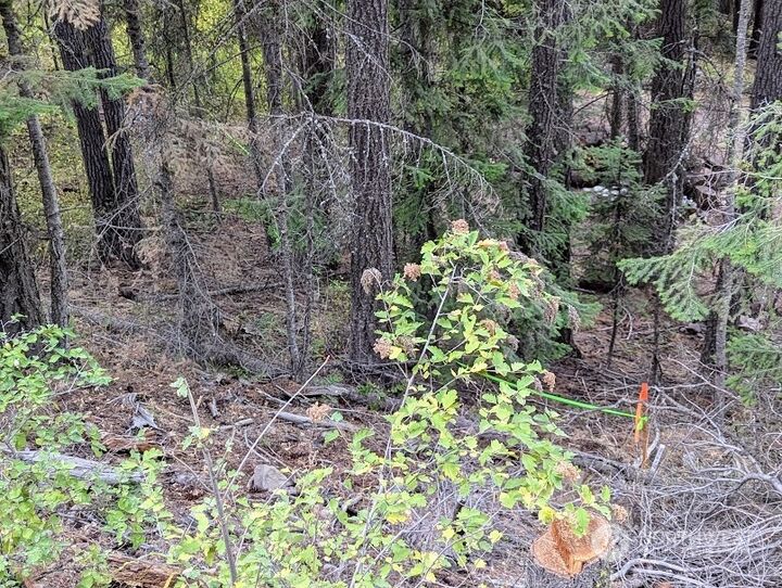 0 Xx  Sawmill Road  Cle Elum WA 98922 photo