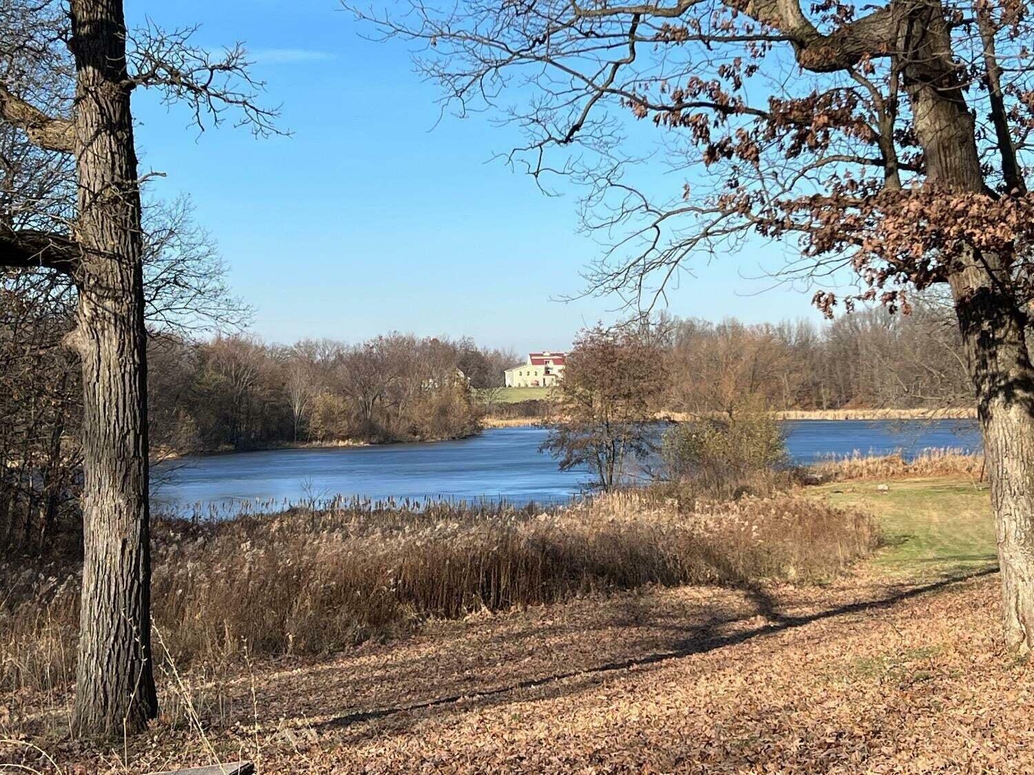 Property Photo: 11217 Burr (Parcel 2) Street IN 46307