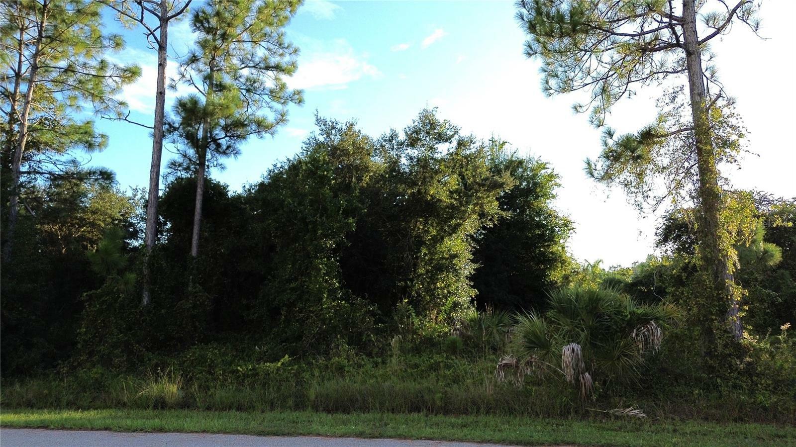 Property Photo:  Kingsman Avenue  FL 34288 