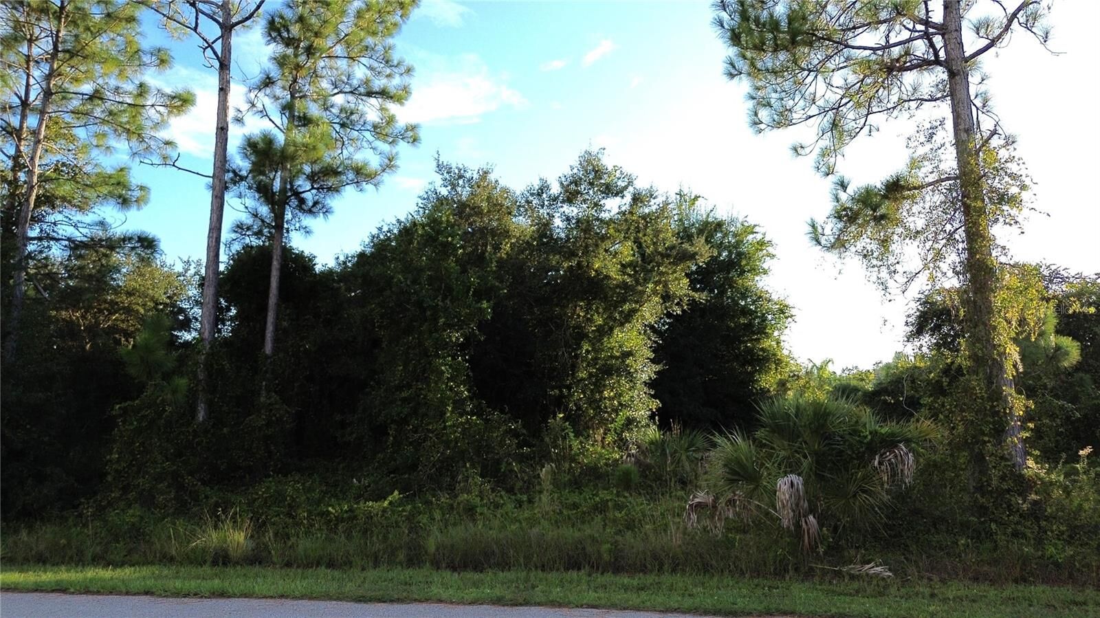 Property Photo: Kingsman Avenue FL 34288