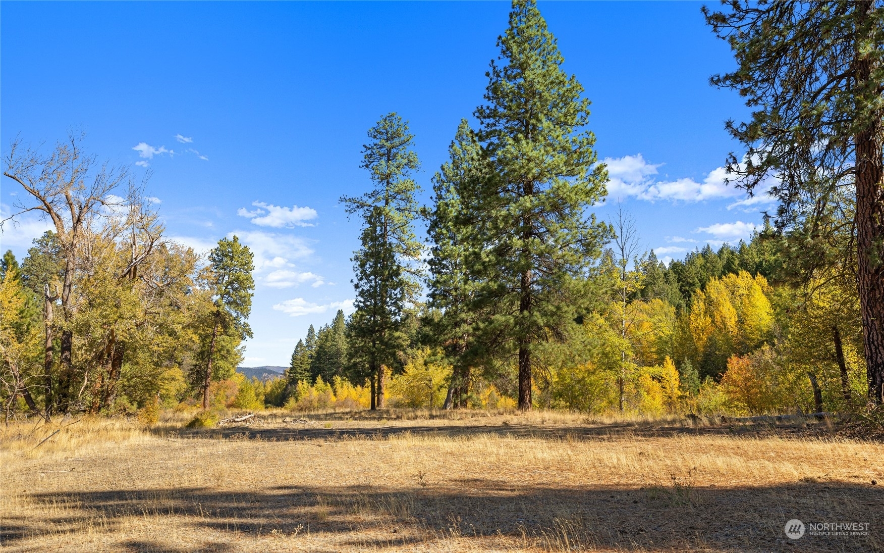 Property Photo:  8174 SR 970  WA 98922 