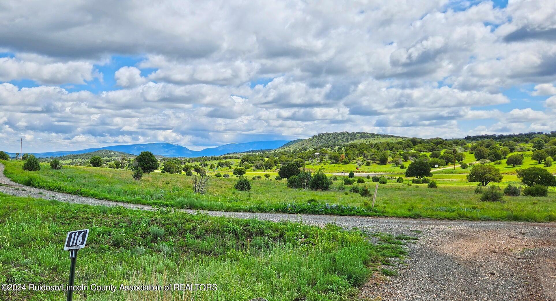 Property Photo:  116 N Hwy 48 & Tallaquaw Trail  NM 88316 