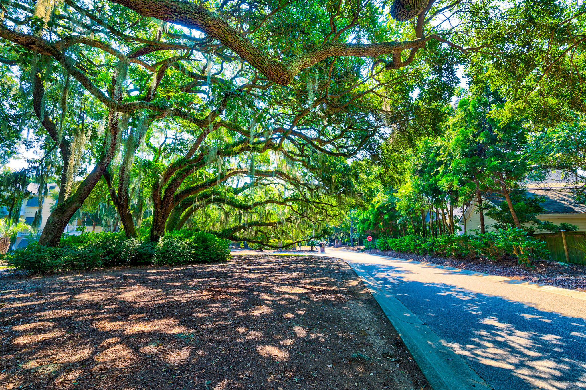 Property Photo:  4255 Hope Plantation Drive  SC 29455 