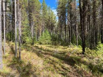 Property Photo:  8930 33 Highway East Lot 10  BC V1P 1P4 