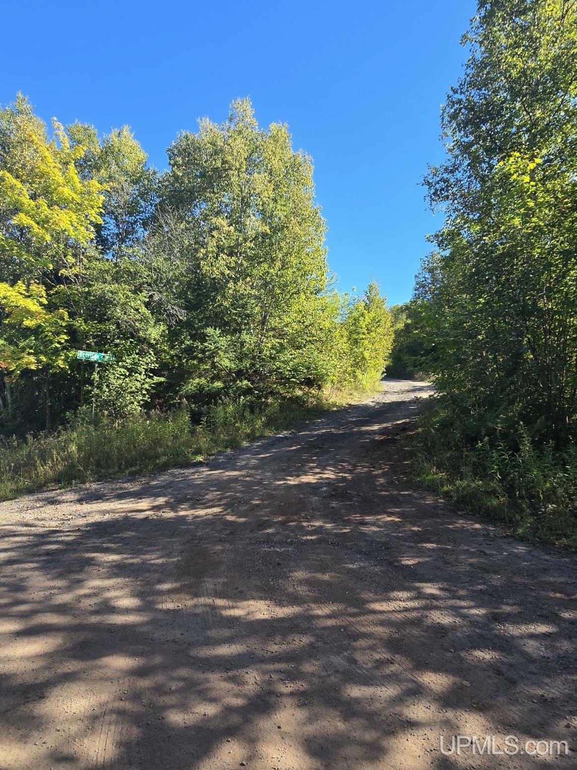 Property Photo: Unit 4 Redridge Creek Road MI 49905