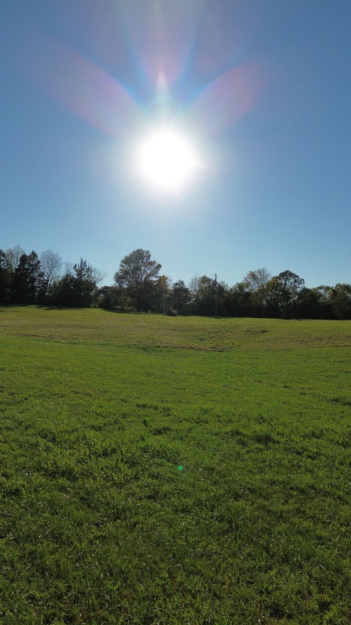 Property Photo:  646 Barnes Mill Rd  TN 37166 