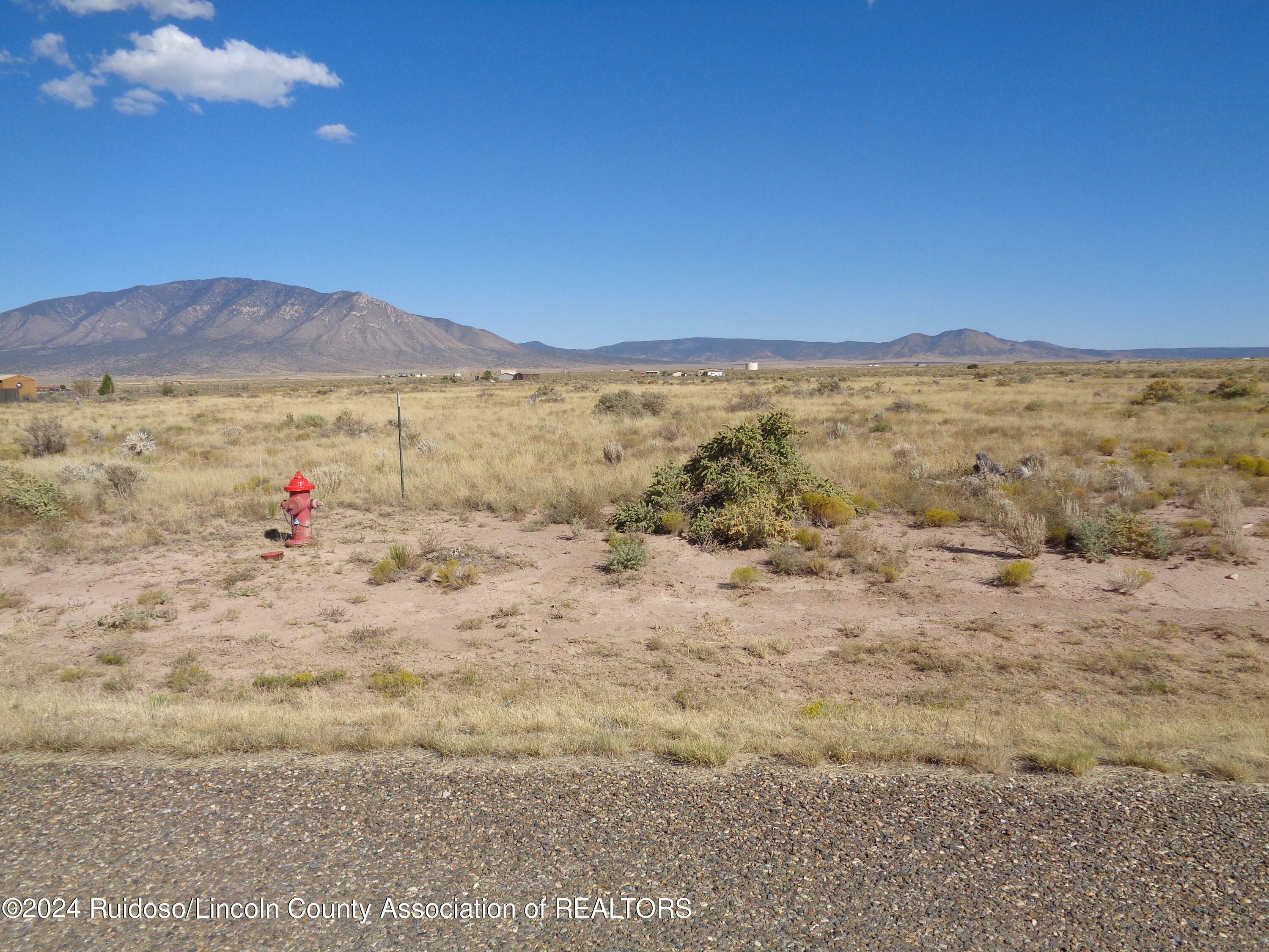 Property Photo:  203 Calico Road  NM 88301 