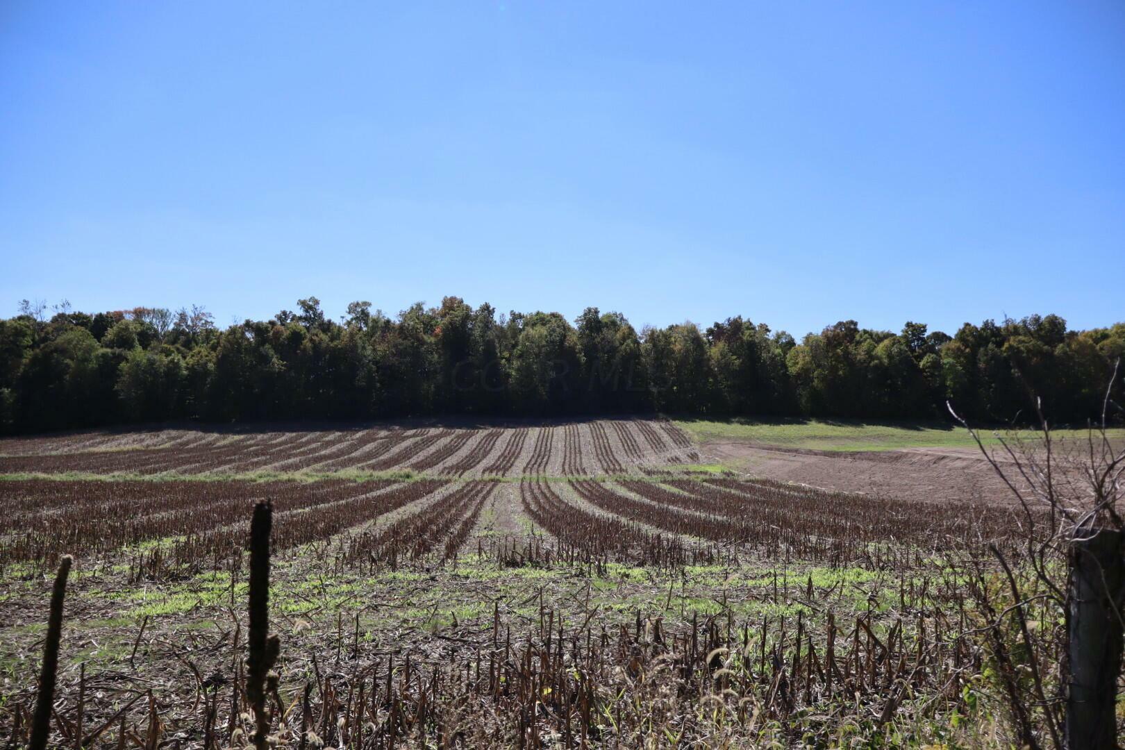 Property Photo:  0 Duncan Road SW  OH 43130 