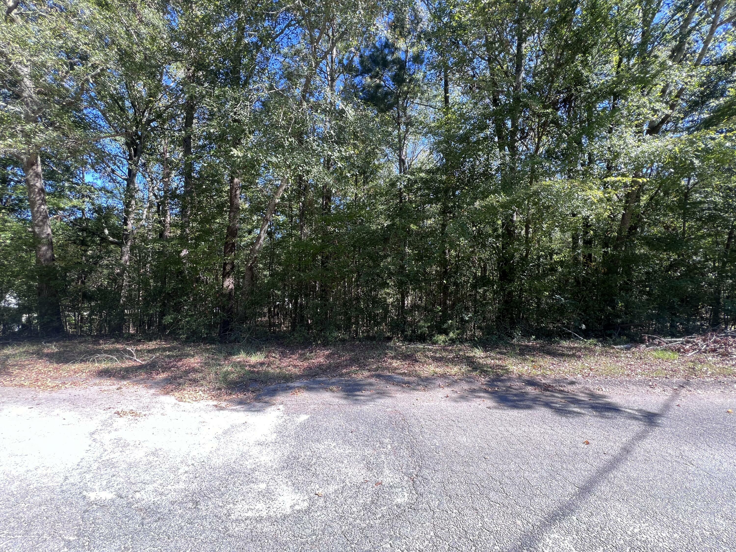 Property Photo:  000 S Seymour Drive  GA 30824 