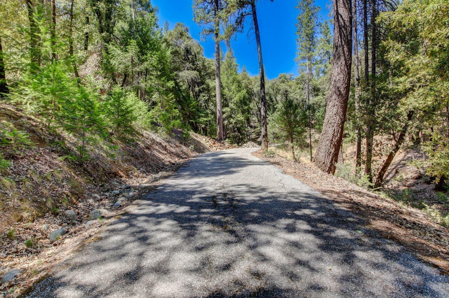 Property Photo:  12226 Pine Cone Circle  CA 95945 