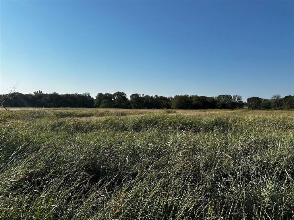 Property Photo:  2633 Vz County Road 3820  TX 75169 