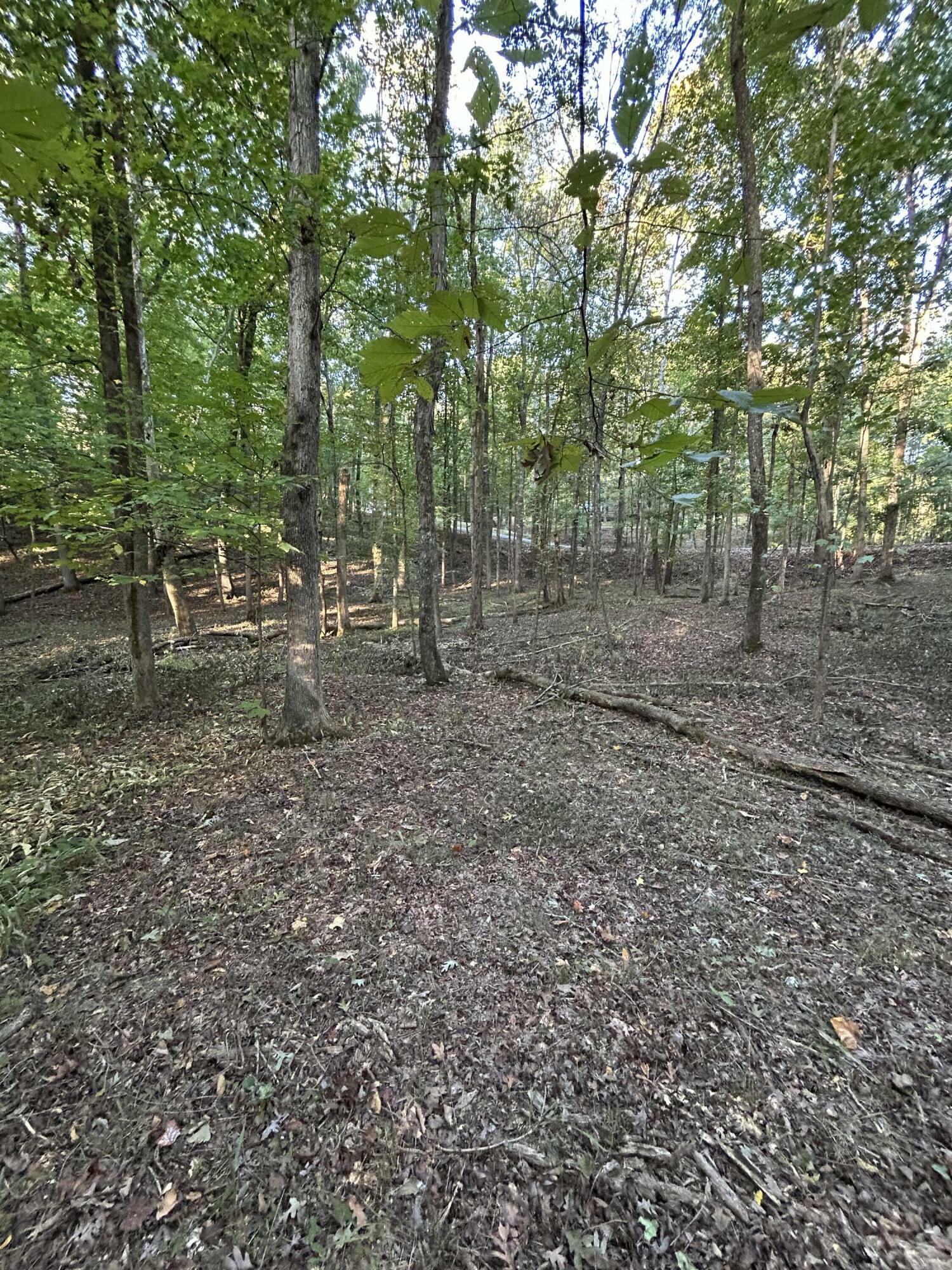 Property Photo:  00 Westbrook Drive NW  TN 37312 