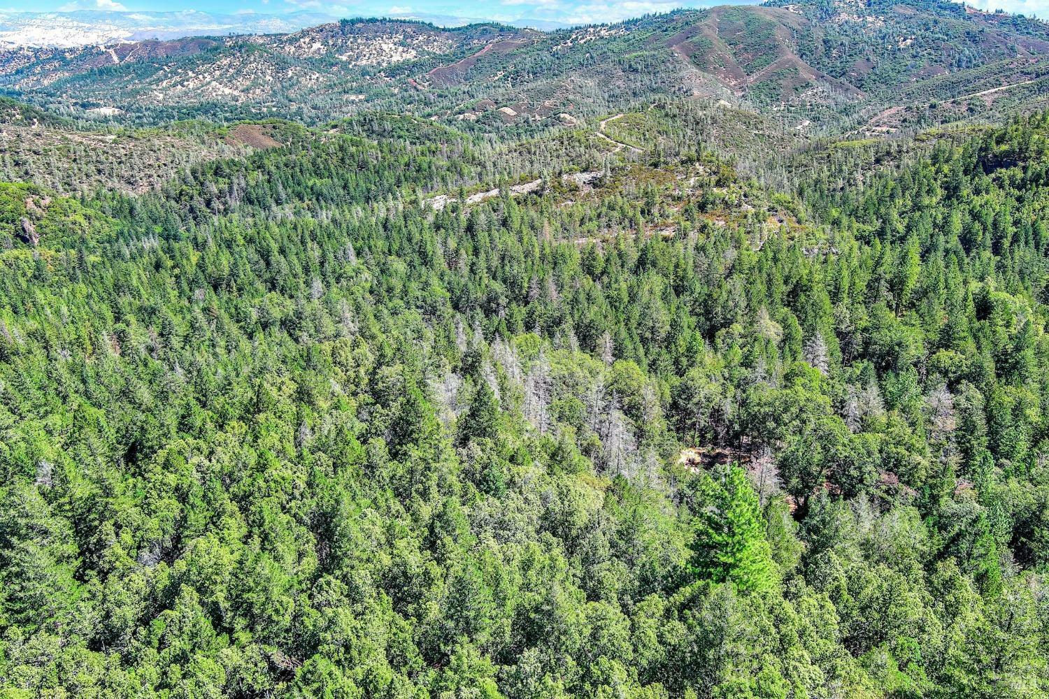 Property Photo:  15695 Roberts Road  CA 95461 