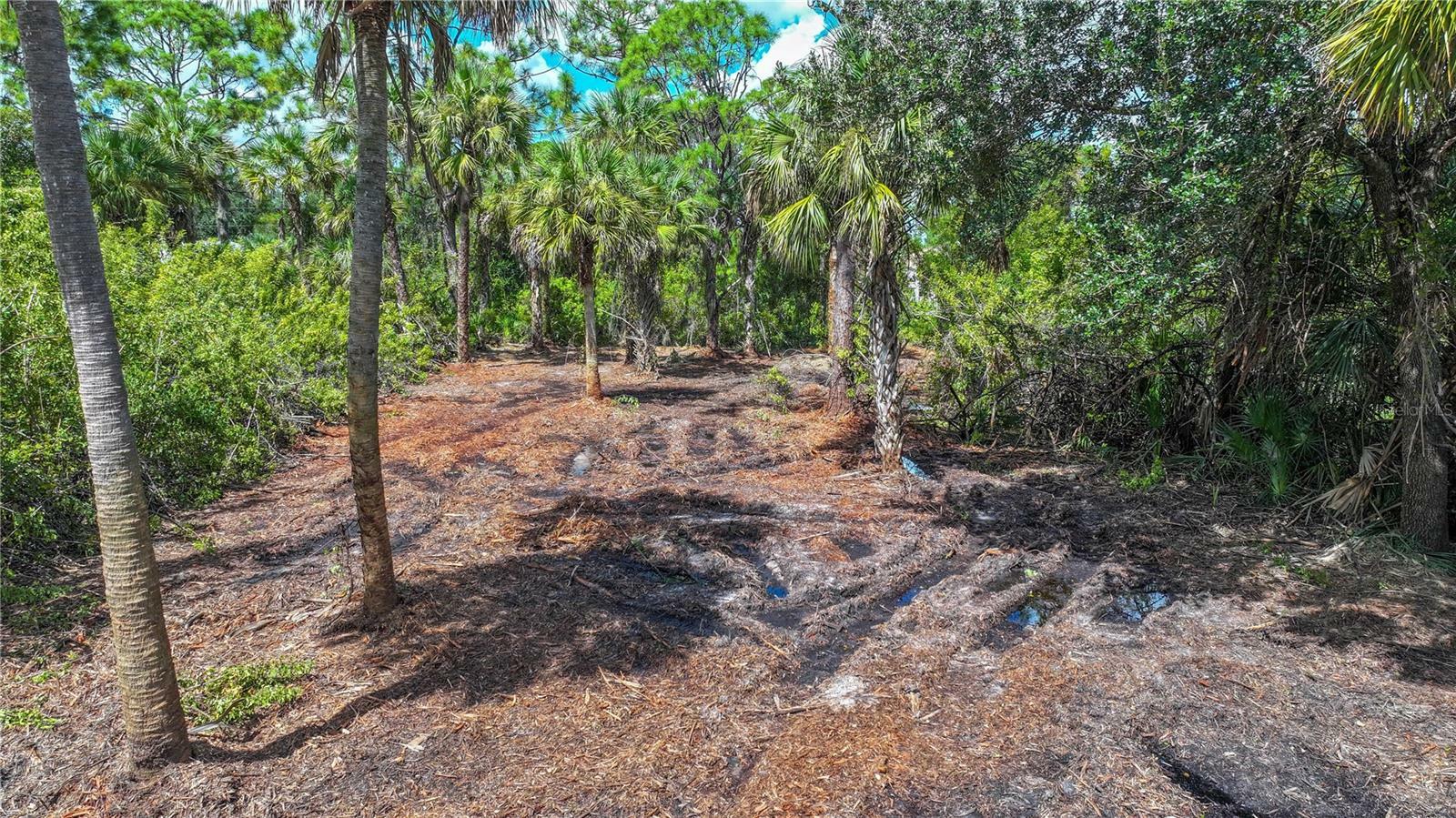 Property Photo:  409 Cheshire Street  FL 33953 