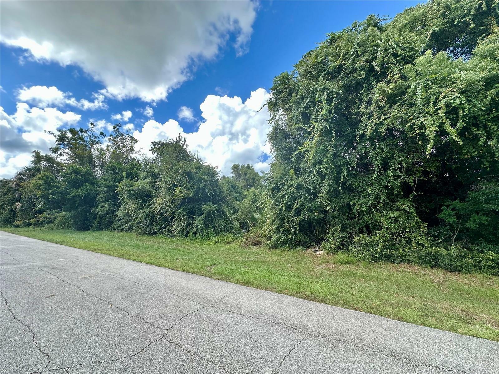 Property Photo:  Sullivan Street  FL 32725 